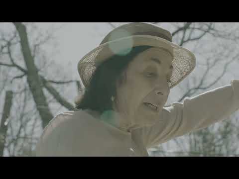 Dinah Schonhaut — Quién sabe, Alicia