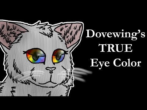 The TRUTH About Dovewing's Eye Color | Warrior Cats