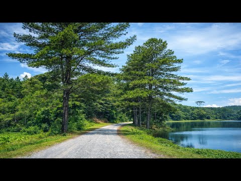Interior de Petrolândia - Santa Catarina