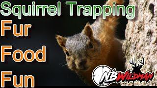 Easy Squirrel Trapping for Fur, Food & Fun