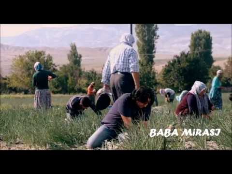 BABA MİRASI (Üç Kardeş ve Tarla Sahnesi)