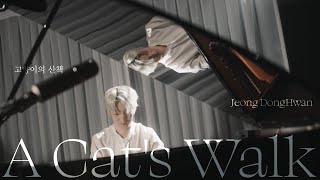 정동환(MeloMance) - 고양이의 산책(A Cat's Walk) LIVE