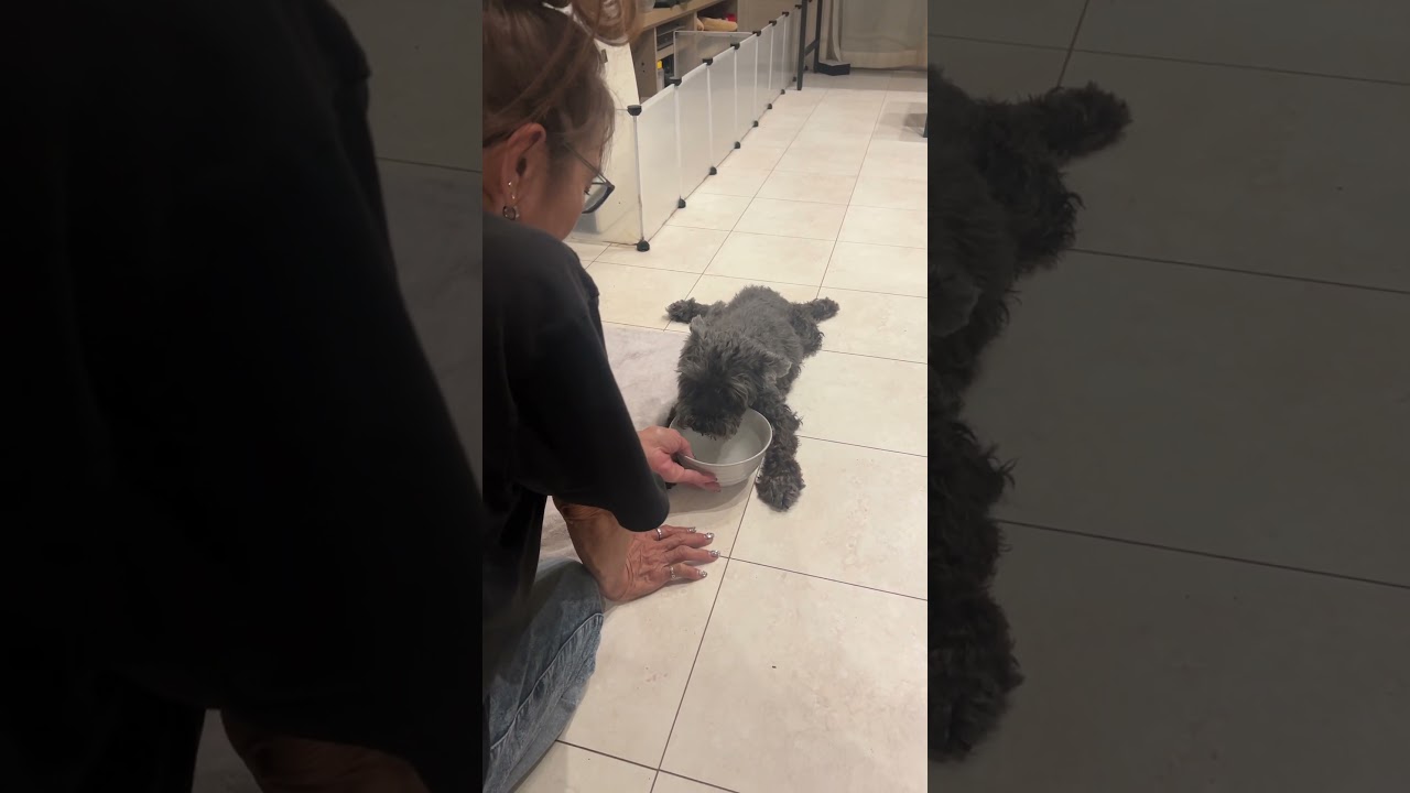 マーリーちゃーん！！