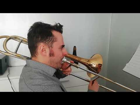 Stefano musica ( Perfect - Ed SHEERAN) trombon cover