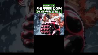최신화) 사황 루피의 앞에서 샹크스를 욕하면 생기는 일! #onepiece #원피스