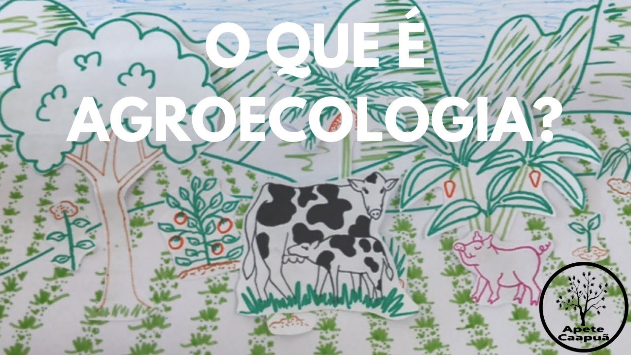 O QUE É AGROECOLOGIA?