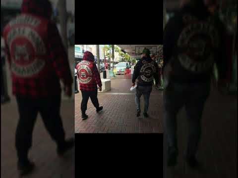 DOGS OF WAR MAS DOG FT DAZ DOG