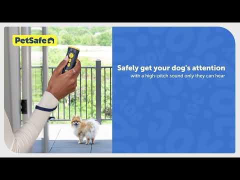 Stop Unwanted Dog Behaviour with PetSafe Collarless Trainer