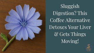 ☕ “Sluggish Digestion? This Coffee Alternative Detoxes Your Liver & Gets Things Moving!” 🌿