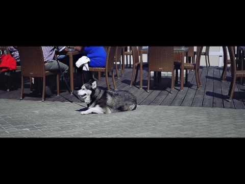 Szulinio – Pragnienie (Official Video)