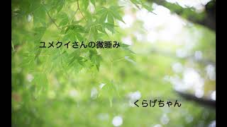 【男性向けボイス】ユメクイさんの微睡み【くらげちゃん】