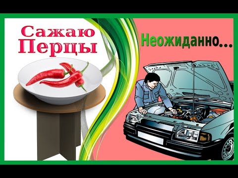 Сажаю перцы!Поездка с неожиданным исходом..!