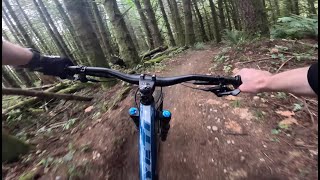 Goldeneye - Lord Hill - Snohomish - Washington