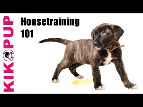 STOP UNWANTED behaviors with BACK UP