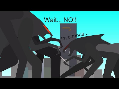 Male M.U.T.O. Is curious