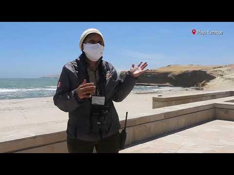 Reserva Nacional de Paracas – Visita Virtual
