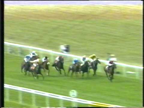 1996 - Newmarket (July) - Falmouth Stakes - Sensation
