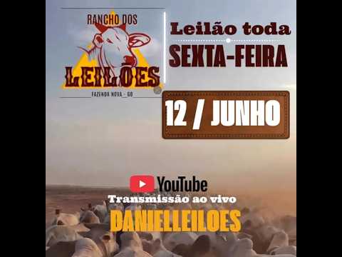 Fazenda Nova - GO   12/06/2026