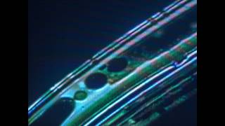 the New Division- Rewind (Ft  Missing Words)