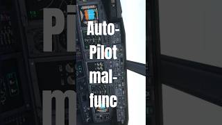 Warum lässt sich der Autopilot nicht vollständig aktivieren?