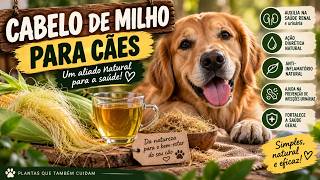 TODOS CONHECEM MAS POUCOS USAM ESTE PRODUTO