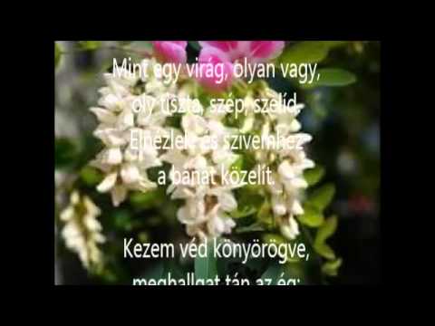 Aki a virágot szereti