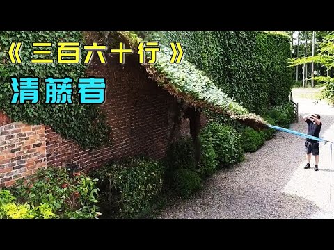 爬牆虎缺點