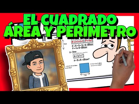 🟥 PERÍMETRO y ÁREA de un CUADRADO