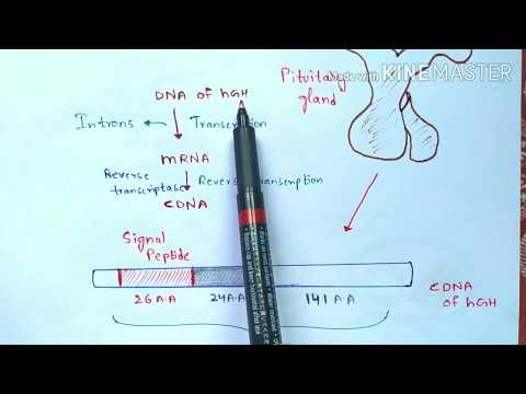 Bt cotton production Bacillus thuringiensis Action of Bt toxin Advantages Cry gene