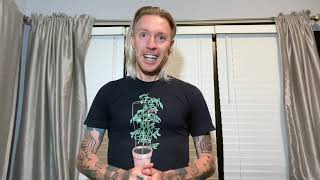 Ask Blue Stahli - Voice