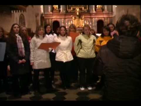 Czech lute - Loutna česká