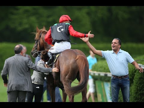Krefeld: Preis der SWK STADTWERKE KREFELD - Dr.  Busch-Memorial (Gruppe III) - Sieger: Kronprinz