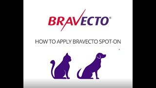 Bravecto cat blue 2025