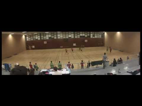 Frog Disc Section VS Friselis