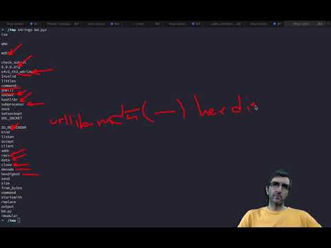 Hack with Jadi - Reversing the "backdoor" challenge from Hack The Box Cyber Apocalypse 2021 CTF