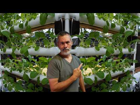 Did I Waste My Money?