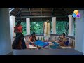 Nandanam Ep 531
