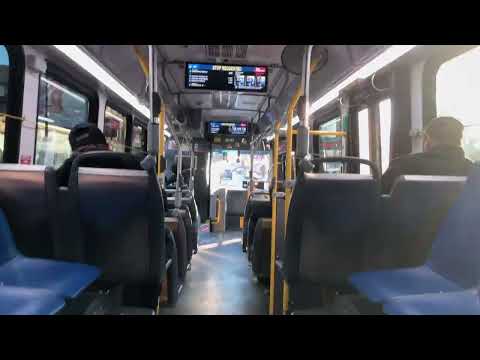 Cta Bus 81 Tracker
