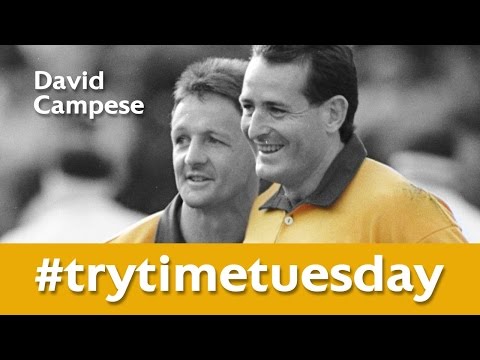 David Campese EPIC try v All Blacks