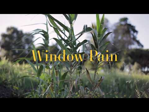 Pip Marinho - Window Pain