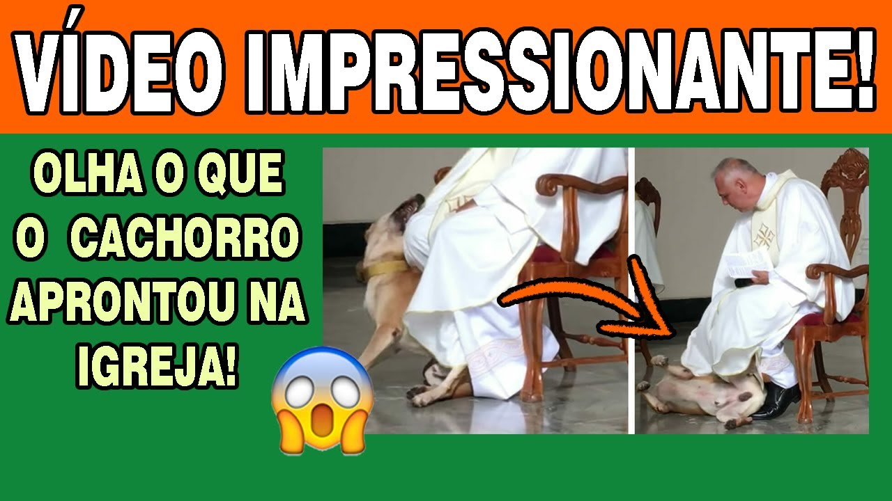 Cachorro invade a IGREJA e toma uma ATITUDE INESPERADA!
