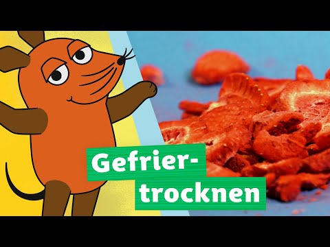 Wie funktioniert Gefriertrocknen? | Die Maus | WDR