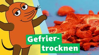 Wie funktioniert Gefriertrocknen? | Die Maus | WDR