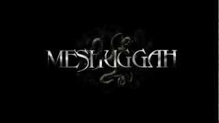 Messuggah - Disenchantment