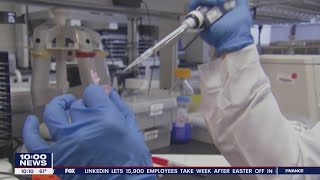 Questions remain regarding the COVID vaccine, including how long it's effective