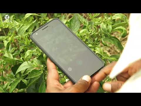 Plantix - your crop doctor Video