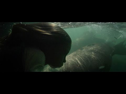 the Island of Lost Girls - behind the scenes