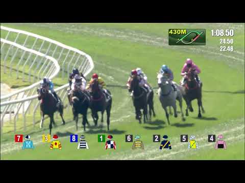 12/12/2021 (243) Fast Most Furious - Z Purton