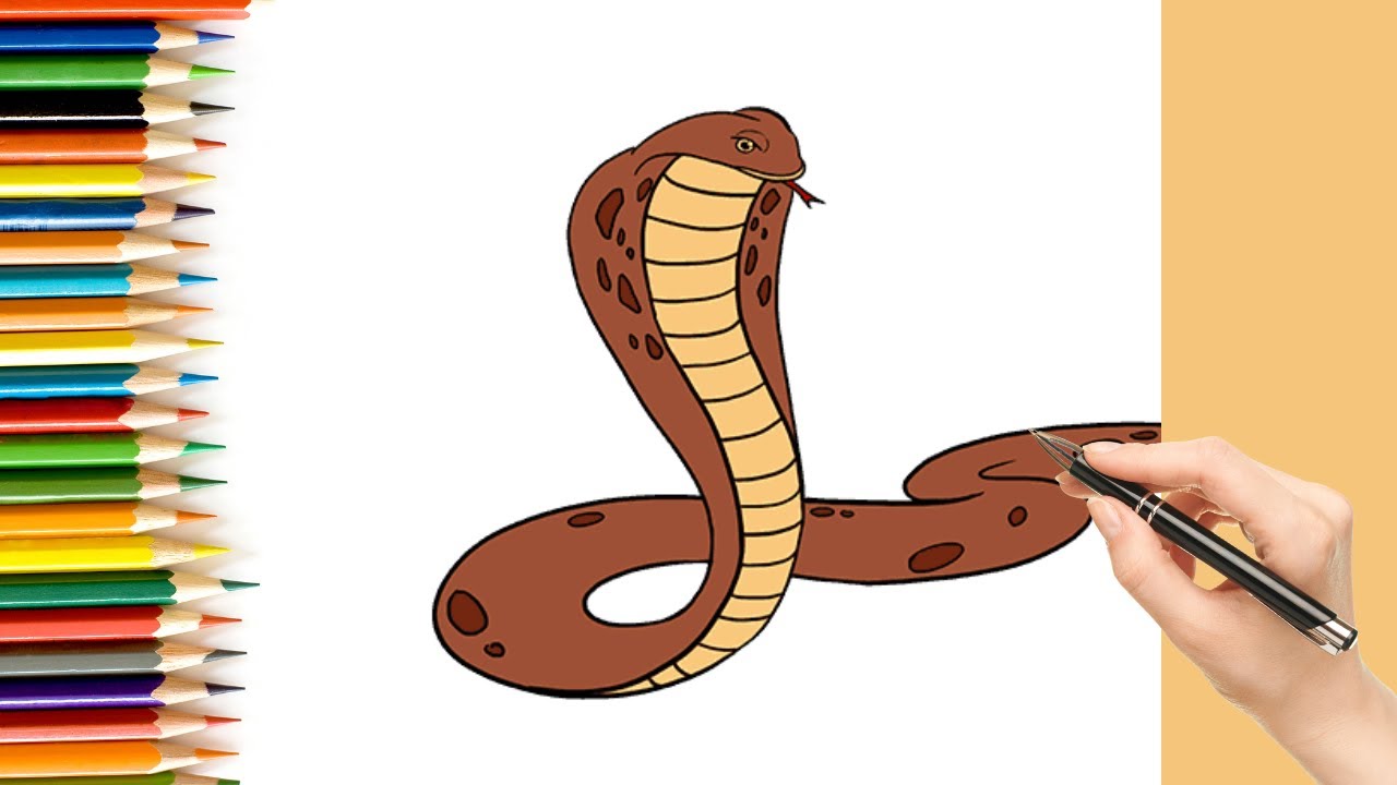 Learn to draw a cobra | easy for kids drawing of cobra
