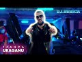 Tzanca Uraganu Iepurasa Coconasa BASS BOOSTED